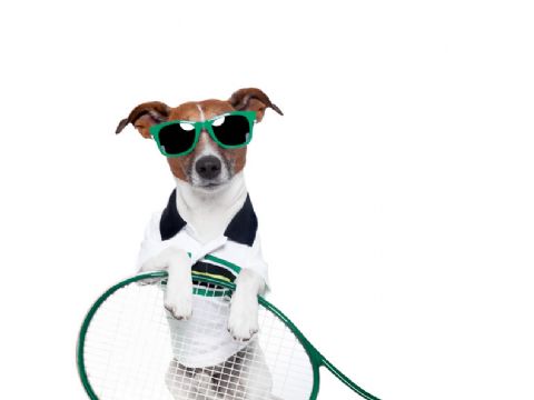 Wimbledon - How one delivers a brilliantly British event.