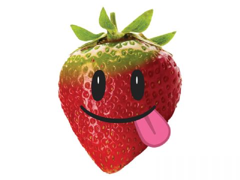 Summer Fruit Salad