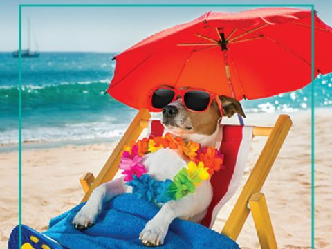 Keeping a level head when things heat up in the Events industry!
